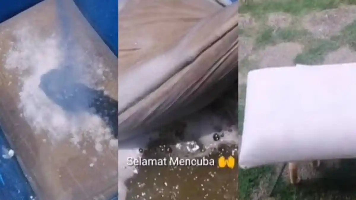 Cara Membersihkan Bantal Berwarna Kuning dan Busuk Menjadi Putih Kembali