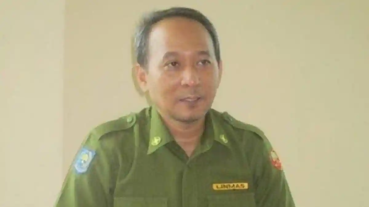 Pulang dari China, Balita di Luwu Alami Batuk dan Flu, Corona? Ini Kata Dinkes
