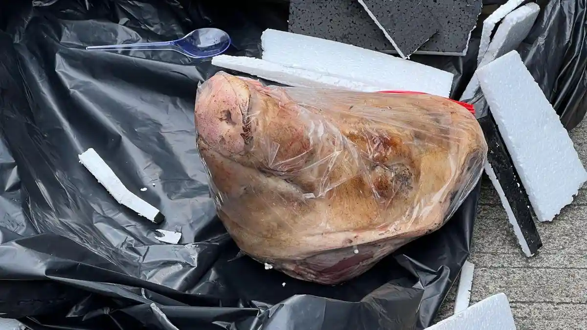 Teror Kepala Babi dan Bangkai Tikus di Tempo: Respons dan Desakan Berbagai Pihak