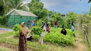 Ibu-ibu-rumah-tangga-mulai-memanen-sayur-hasil-yang-ditanam-Senin-862026.jpg