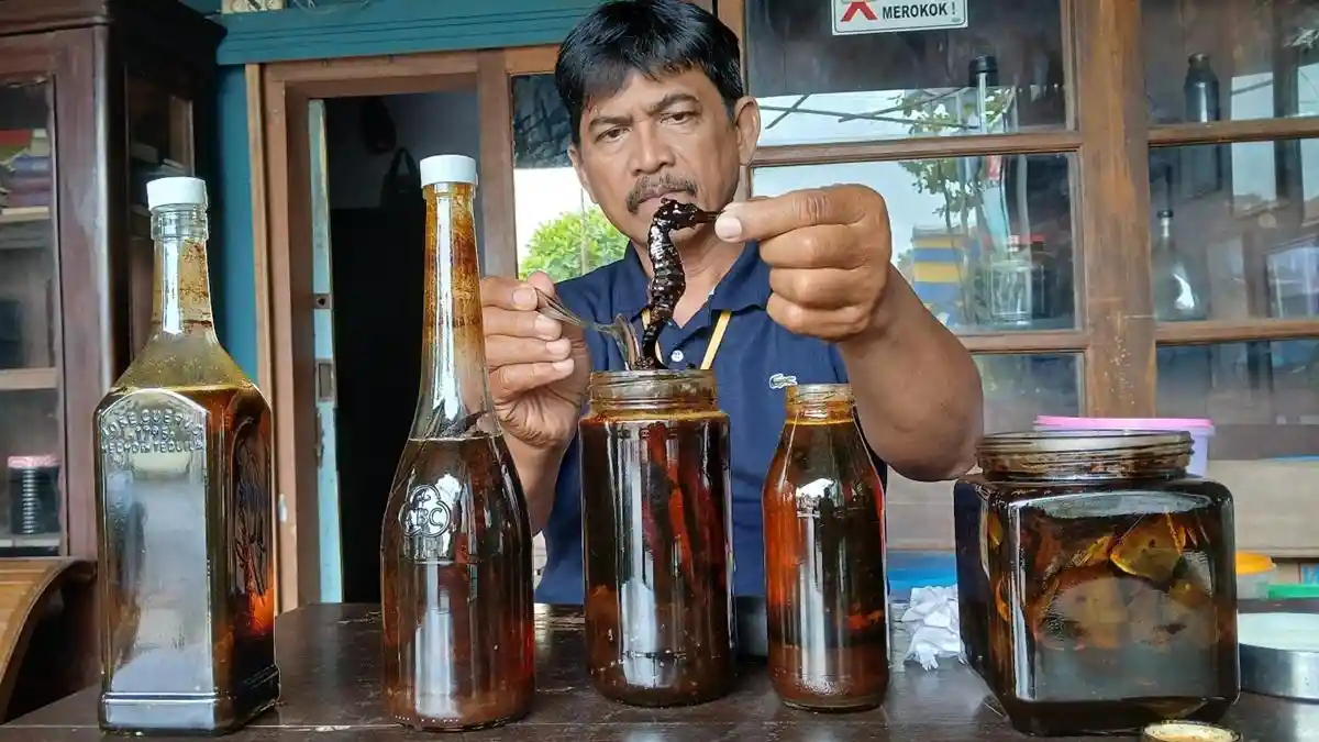 Sosok Tedjo Asmoro, Kolektor Madu Langka dari Rendaman Tangkur Buaya dan Kuda Laut di Tegal