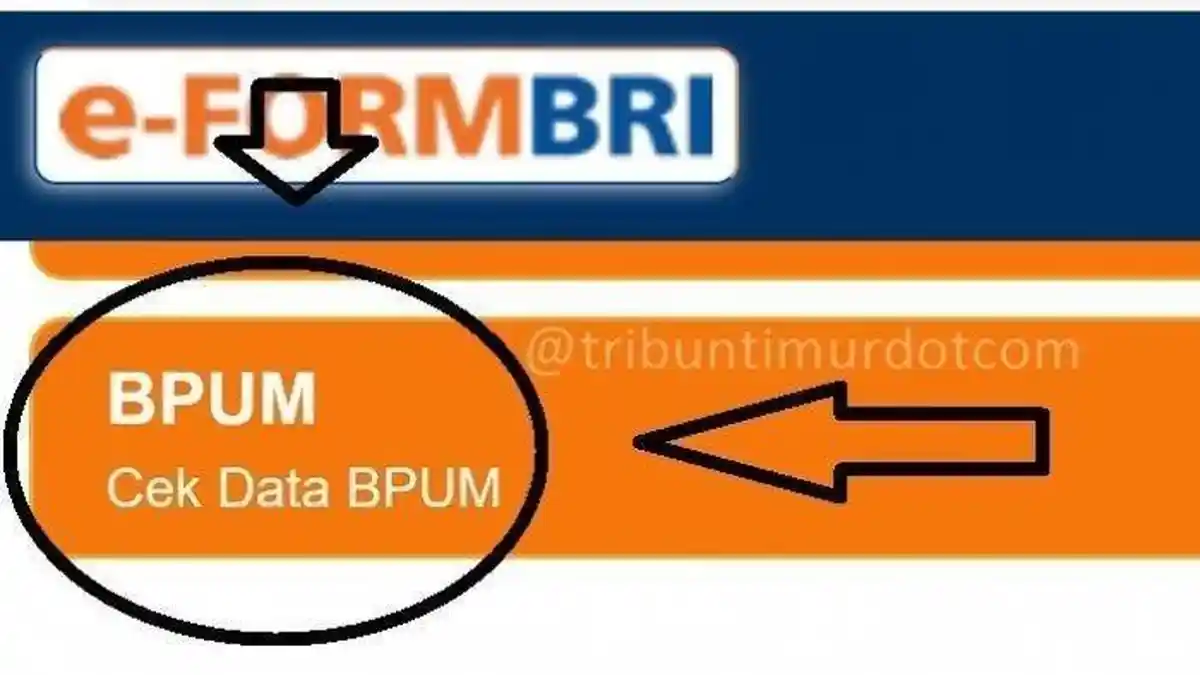 CEK Nama Penerima BLT UMKM Rp2,4 Juta Login di eform.bri.id/bpum, Benarkah Pendaftaran Diperpanjang?
