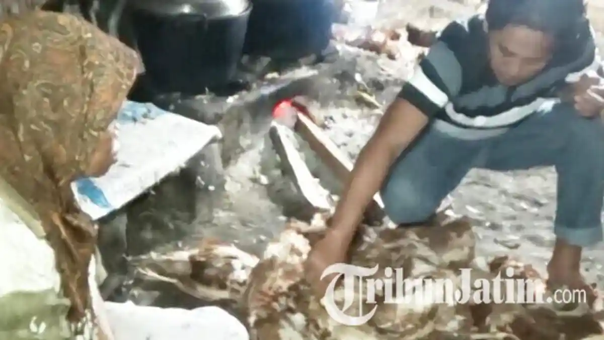 Awas, Ratusan Bangkai Ayam Tiren Beredar di Pasar Jelang Ramadan, Begini Modus Penjualannya