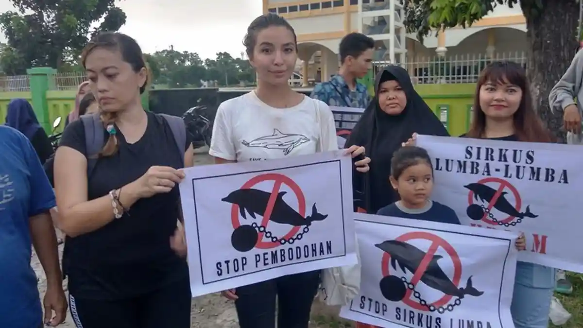 Manohara: Sirkus Lumba-lumba Bukan Edukasi, Tapi Eksploitasi Satwa