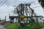 KABEL-Sejumlah-kabel-yang-tampak-semrawut-dan-sudah-ditumbuhi-ta1.jpg