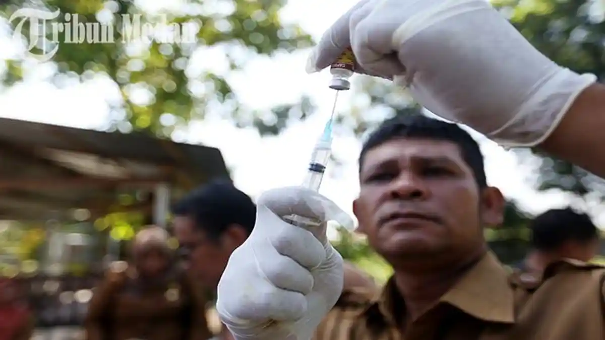 Berita Foto: Wabah Rabies Melanda Medan, Anak Anggota DPRD Sumut Digigit Anjing, Kenali Ciri-cirinya - 25072023_VAKSINASI-RABIES_ABDAN-SYAKURO-1.jpg