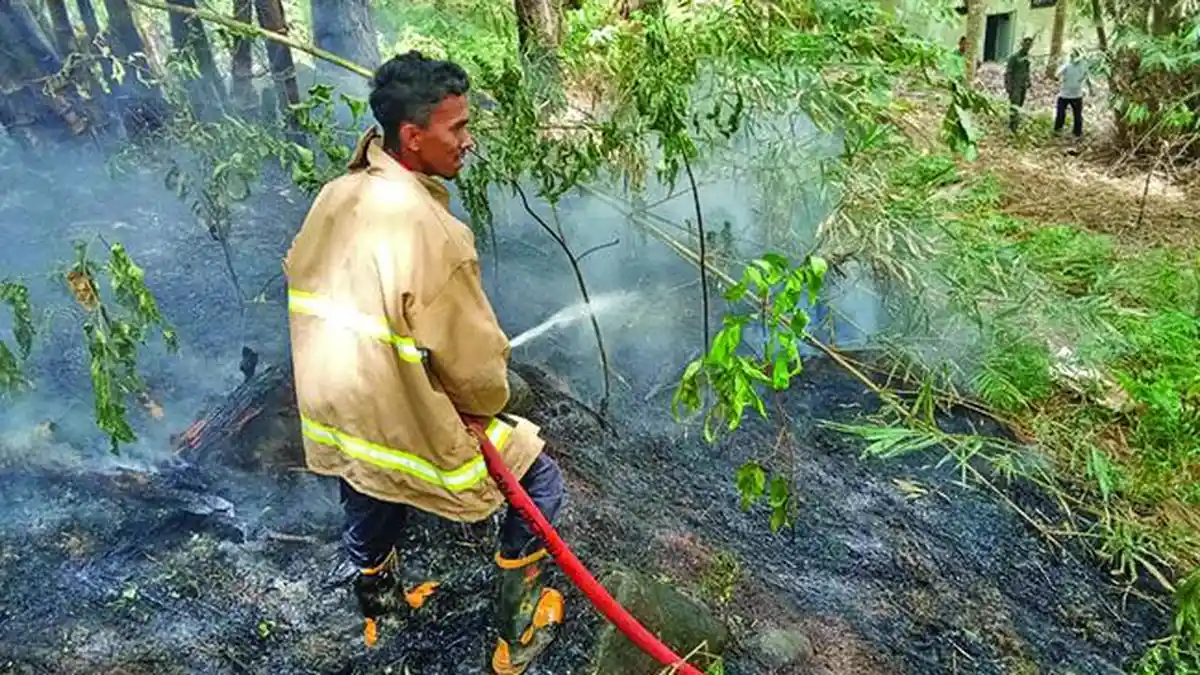 Lahan Hutan Pinus di Saree Aceh Besar Terbakar, Diduga Akibat Pembukaan Lahan