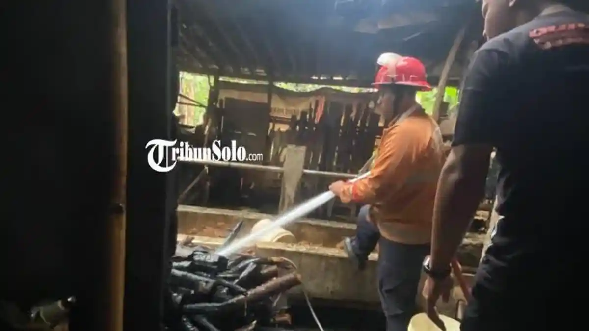 Api Bakaran Sampah Merembet, Kandang Sapi Warga Karanganyar Hangus Terbakar