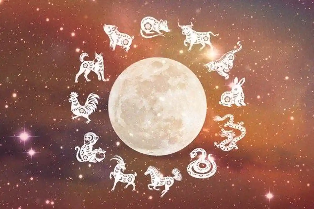 Ramalan Shio Besok Minggu 20 Juni 2021, Shio Kerbau, Shio Ular, Shio Naga, Shio Tikus