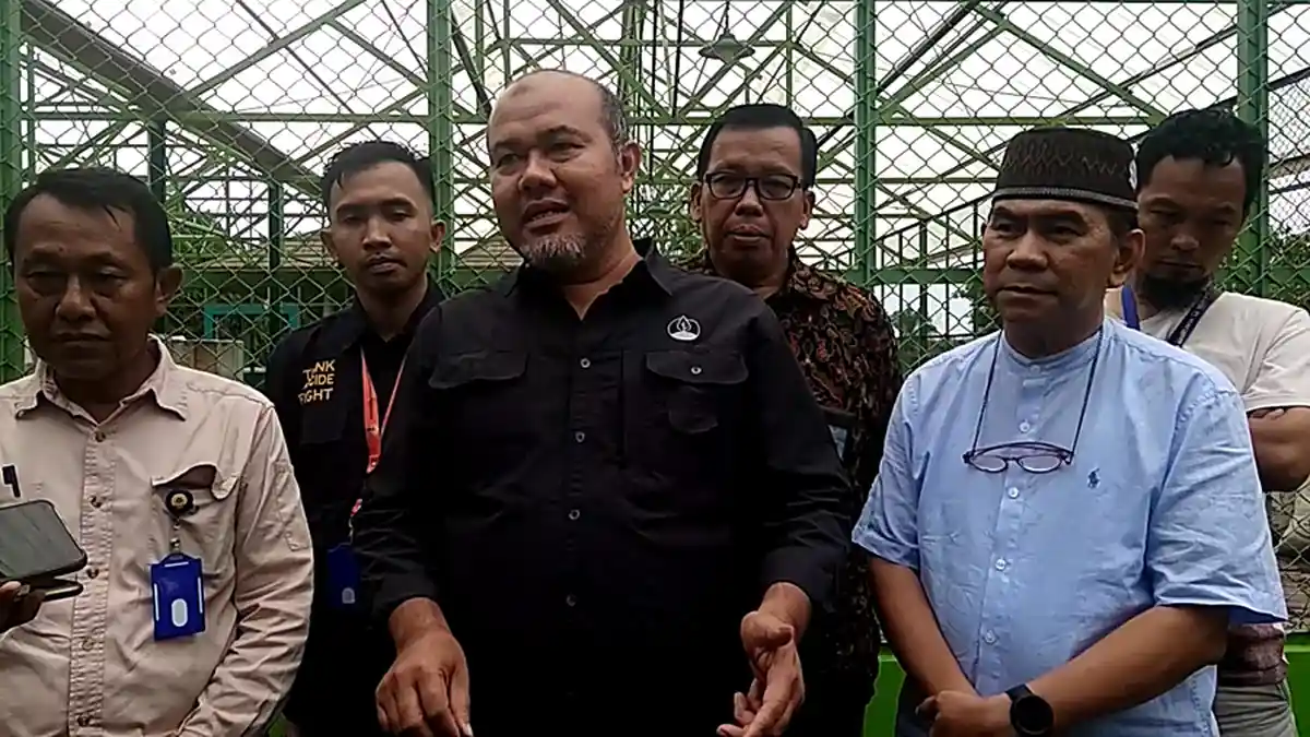 Breaking News: BKSDA Pastikan Tak Ada Harimau di Kampus Unsri, Itu Macan Dahan