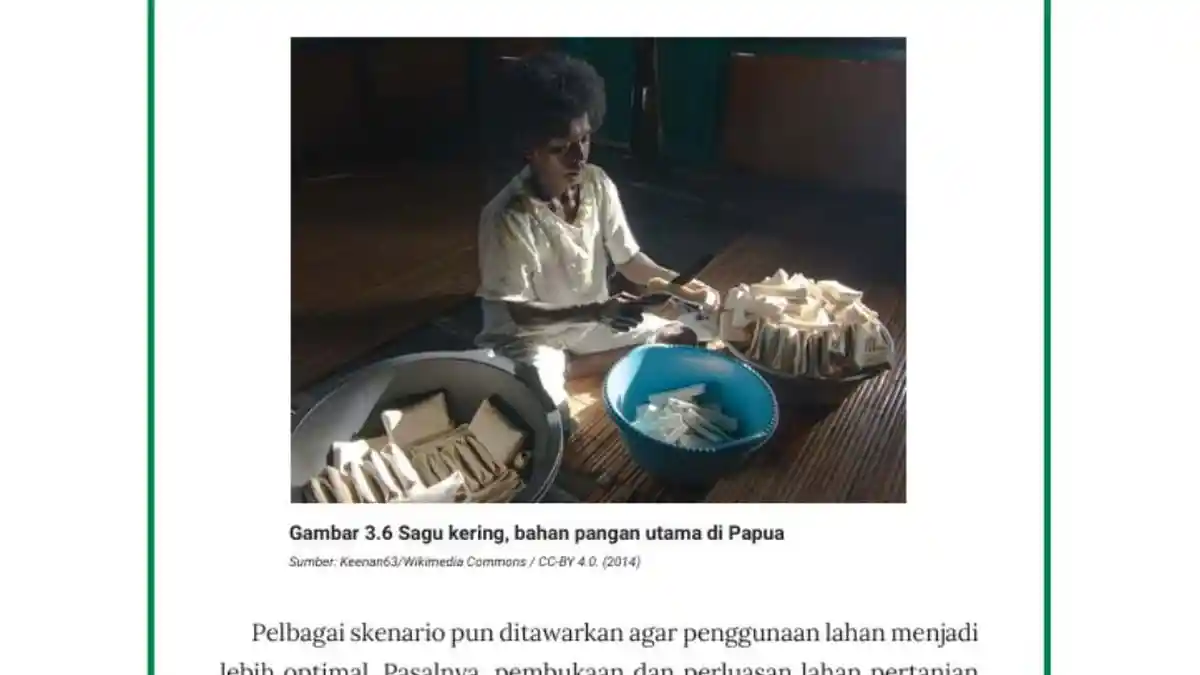 Kunci Jawaban IPS Kelas 10 Halaman 156-161 Kurikulum Merdeka, Lembar Aktivitas 2