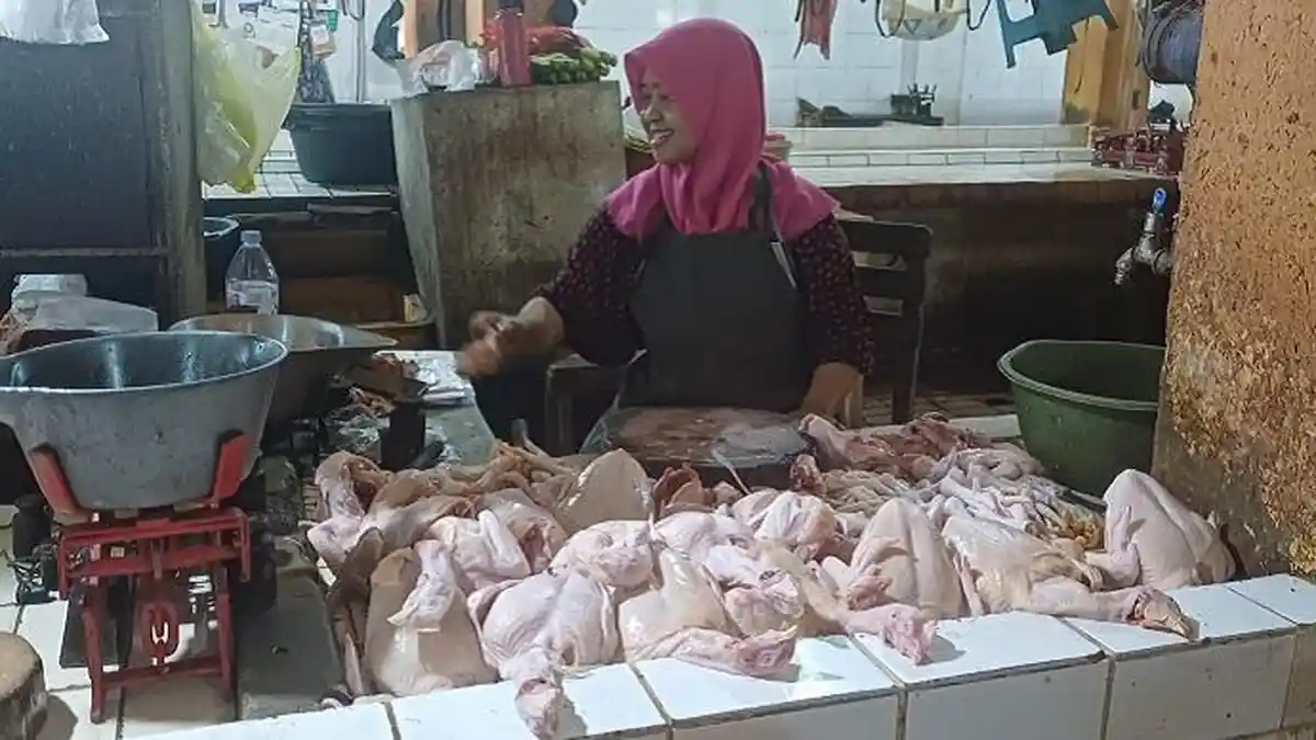 Program MBG Libur, Harga Daging Ayam di Pasar Beringharjo Berangsur Turun - Tribunjogja.com