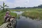 BREAKING NEWS: Warga Tugurejo Semarang Ditemukan Meninggal di Persawahan, Sempat Hilang Sehari