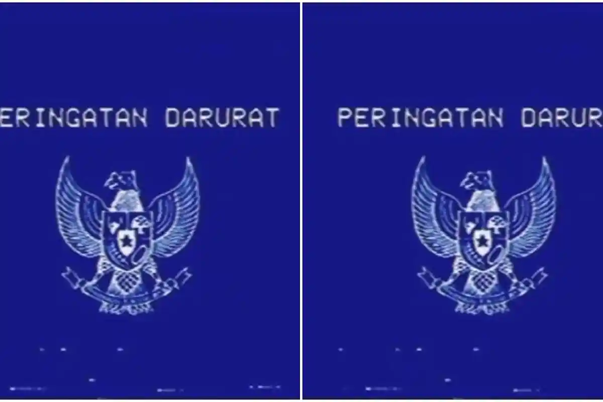 Awal Mula Peringatan Darurat Muncul, Imbas DPR Anulir Putusan MK Terkait Pilkada, Pakar: Akal-akalan
