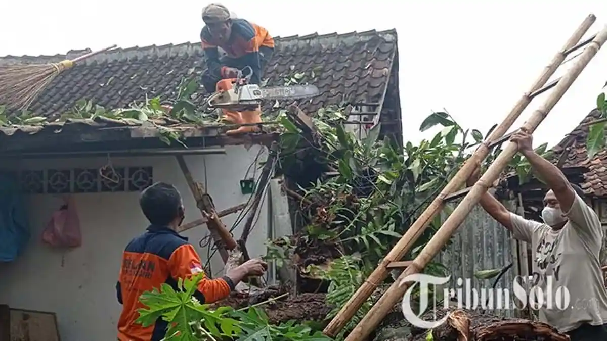 Cuaca Ekstrim di Wonogiri: Rumah Ketua Koni Wonogiri Tertimpa Pohon, Dapur Hingga Kamar Anak Rusak