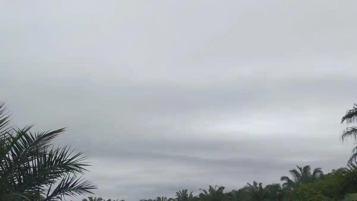 Prakiraan Cuaca Aceh Singkil, Hujan Turun di Simpang Kanan dan Suro Makmur