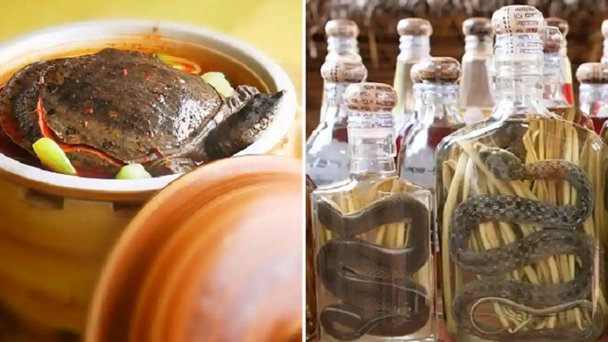 Pecinta Kuliner Wajib Tahu 5 Makanan Paling Langka Ini, No 3 'Worth It' Banget