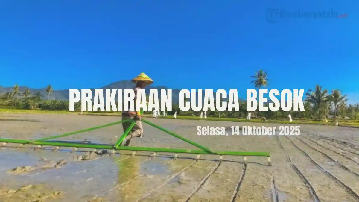 Info Cuaca Kota Gorontalo dan Kabupaten Bone Bolango Besok Selasa 14 Oktober 2025