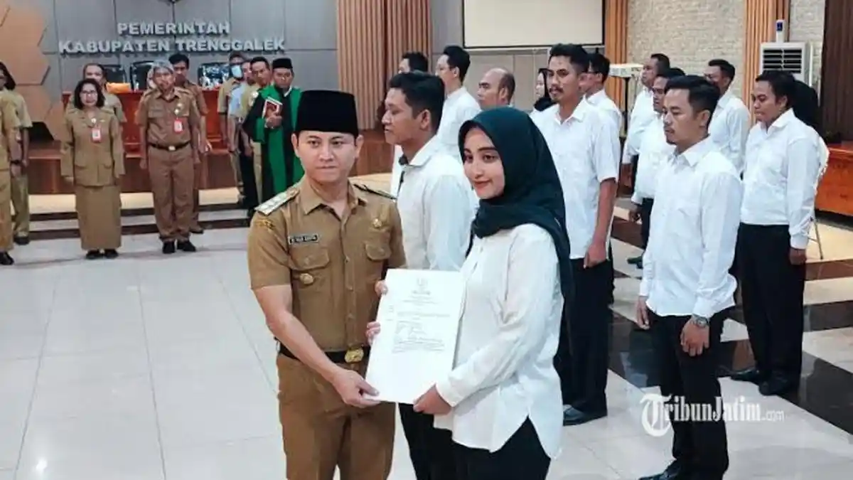 CPNS Kabupaten Trenggalek 2024 Buka 100 Formasi, Pendaftaran Mulai 20 Agustus, PPPK Menyusul