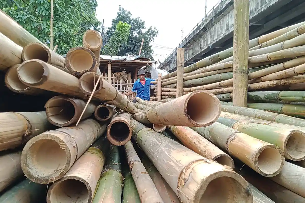 Nasib Penjual Pohon Pinang untuk Agustusan di Masa Pandemi, Biasanya Kantongi Hingga Belasan Juta