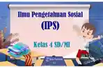 Solution-for-IPS-grade-4-exercise-final-test.jpg