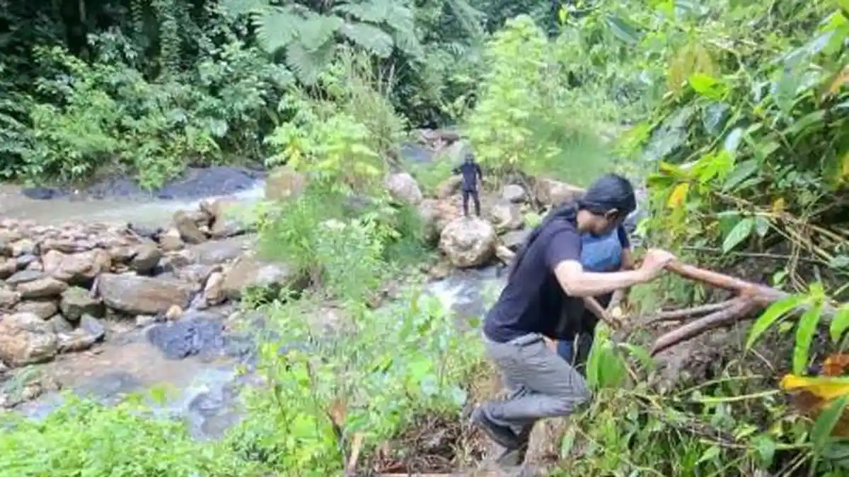 15 Jam Lintasi Bibir Jurang hingga Diintai Harimau saat Ekspedisi Ladang Ganja 51 Ha