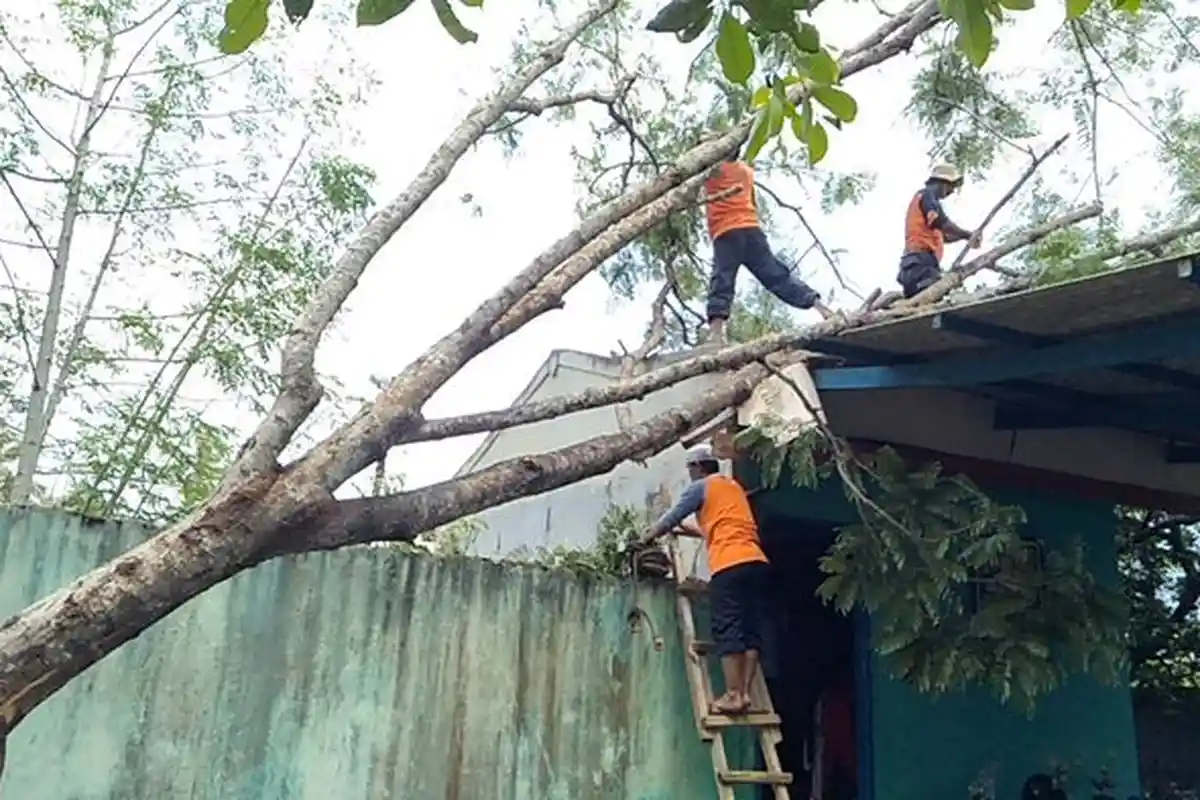 Usai Diterjang Angin Kencang Disertai Hujan Deras, BPBD Kota Sukabumi Langsung Lakukan Ini