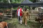 Aceh Tamiang Terima Bantuan 150 Ekor Sapi Kurban dari Komunitas Relawan
