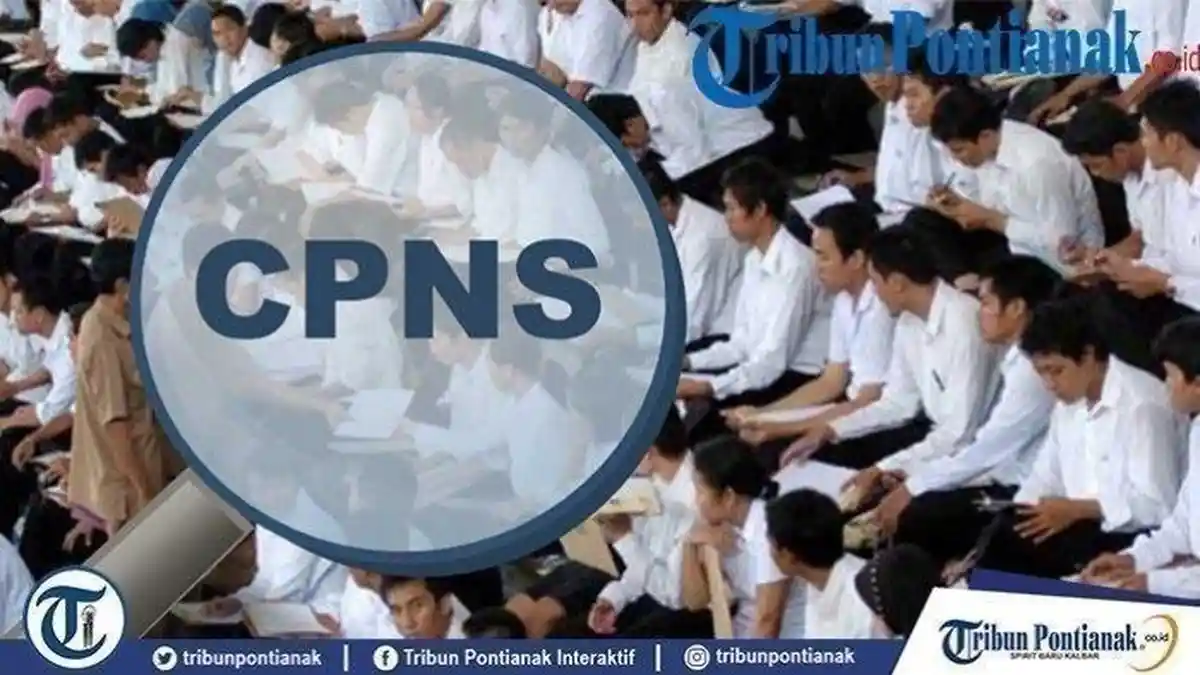 Simak Cara Menulis Surat Lamaran Daftar CPNS 2023 Terbaru, Lengkap Contohnya