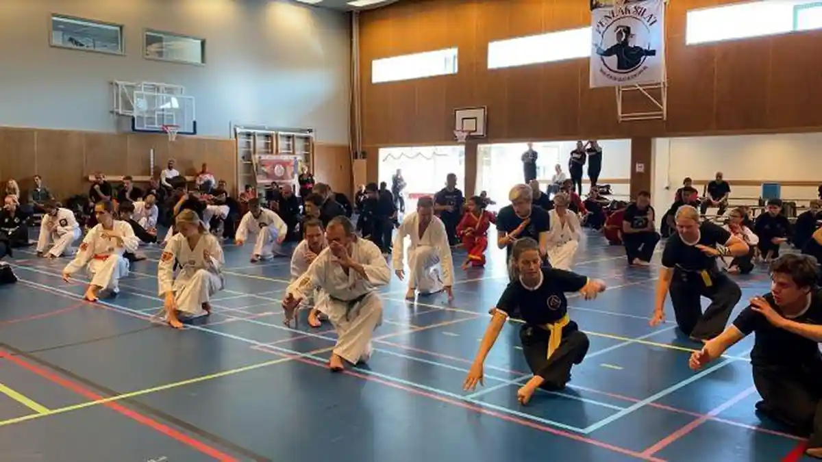Pencak Silat Diakui Sebagai Warisan Budaya Indonesia di Belanda