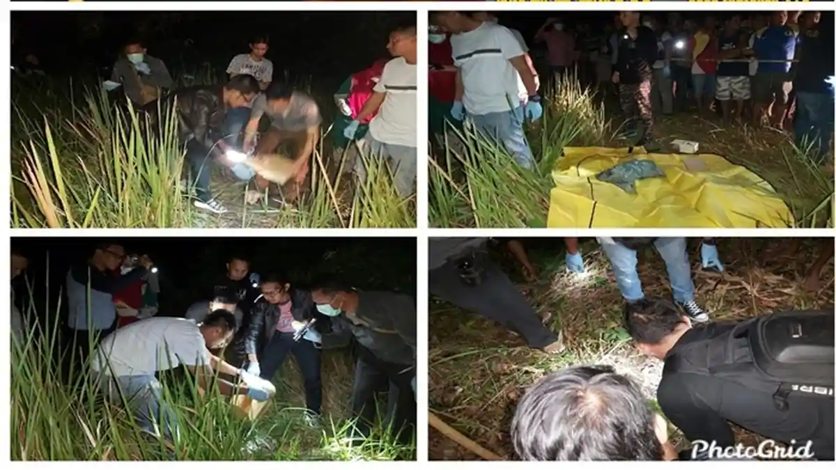 Selain Tengkorak dan Tulang Belulang, Juga Ditemukan Segumpal Rambut ...