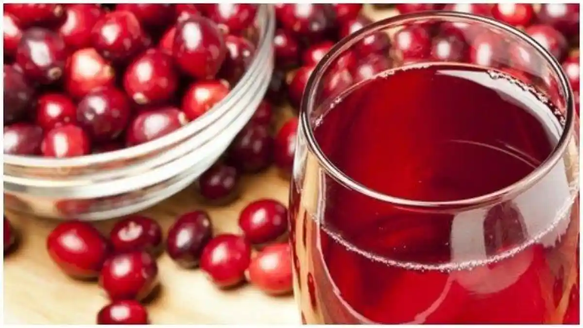Hi Guys, Kepoin 5 Manfaat Buah Cranberry untuk Kesehatan 