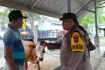 Polisi Ikut Turun Tangan Jaga Penjualan Hewan Kurban Jelang Idul Adha di Lamongan