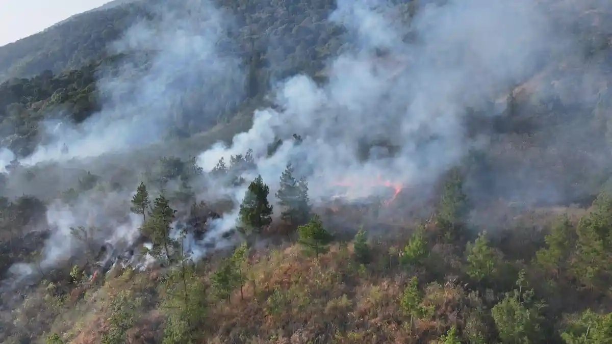 Dedi Mulyadi Turun Tangan Padamkan Api di Gunung Ciremai Kuningan ...
