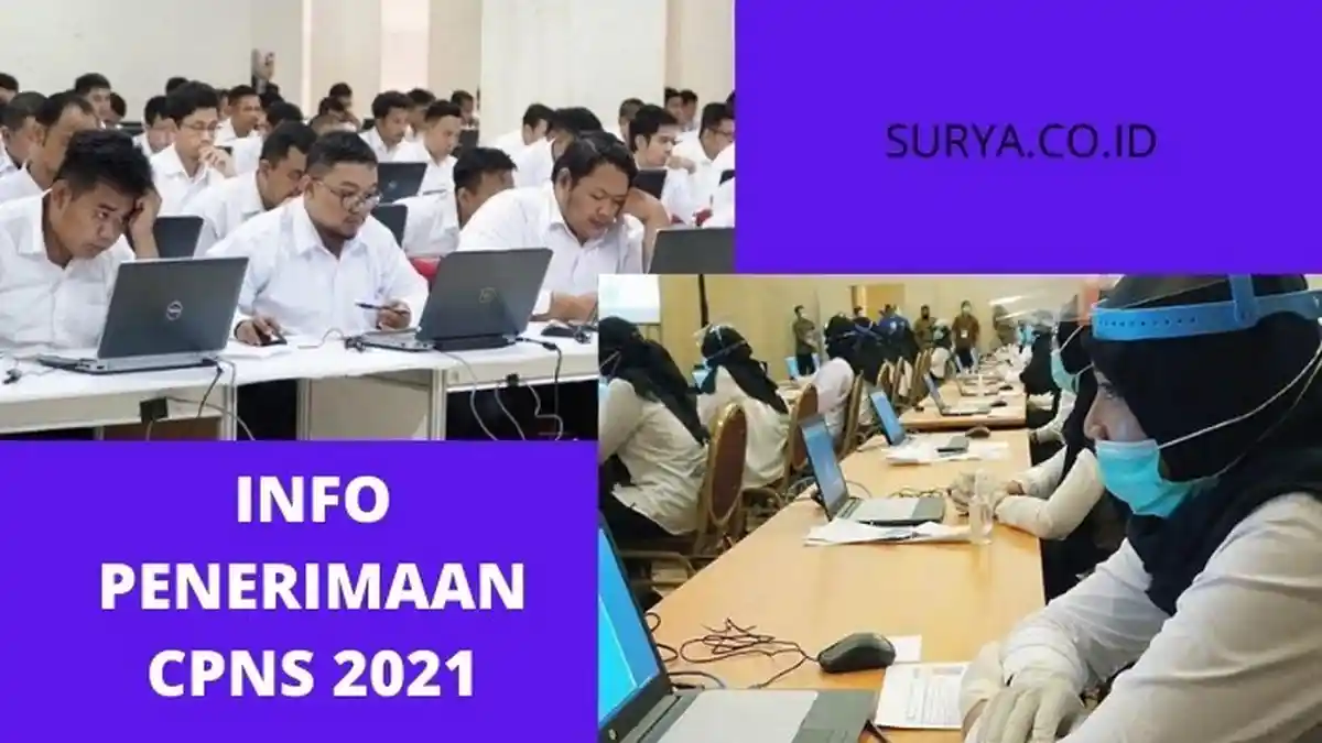Update Terbaru Info CPNS 2021: Jumlah Akun Terdaftar SSCASN 555.754 dan 5 Instansi Pelamar Terbanyak