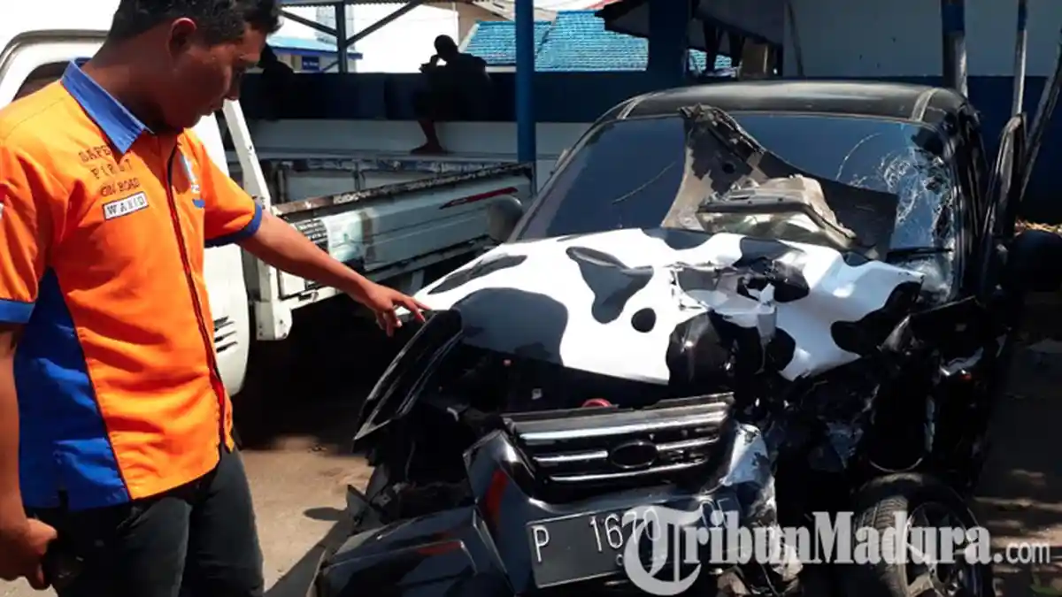 Bau Alkohol Nyembur dari Mulut Mahasiswi di Jember Pemicu Kecelakaan Beruntun, Habis Nongkrong Asyik