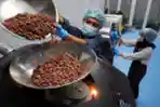 Pembuatan Cokelat Berbagai Varian di Terve Chocolate