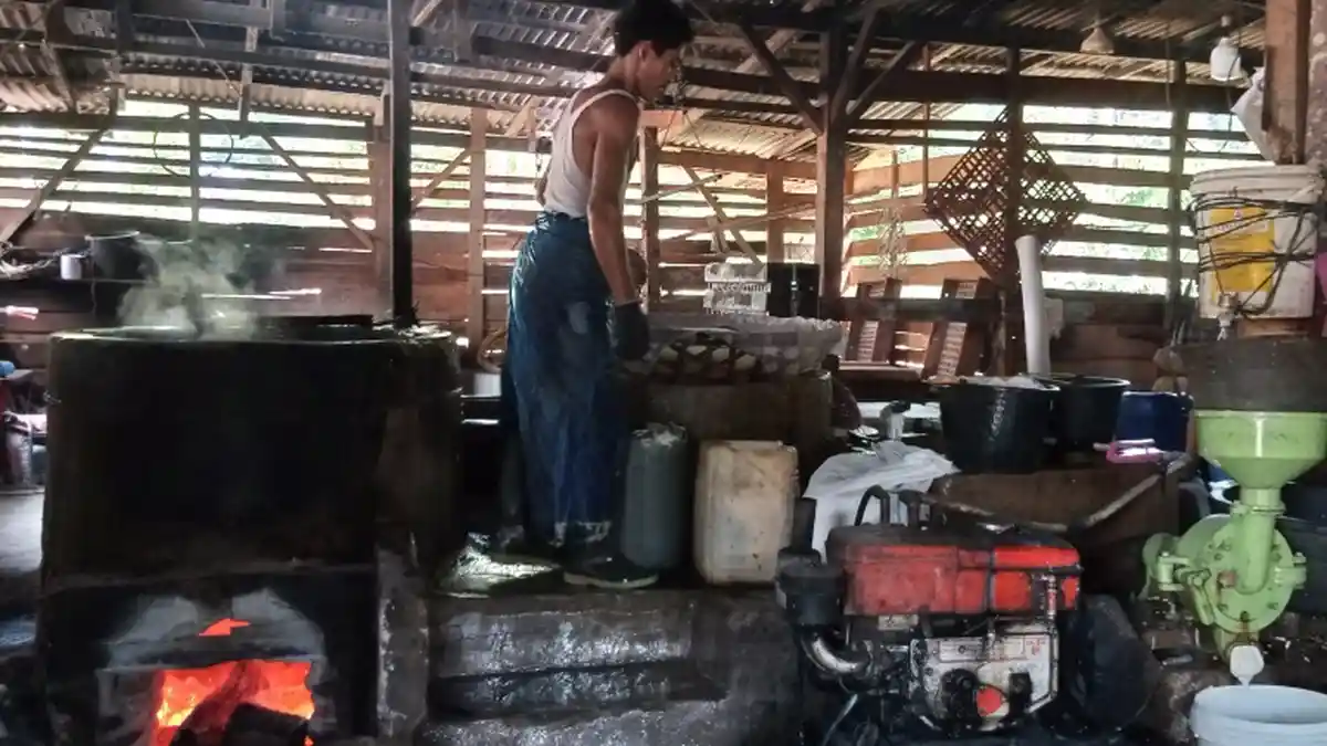 Kuliner Lampung, Tahu Putih asal Pesisir Barat Hanya Rp 250 per Buah