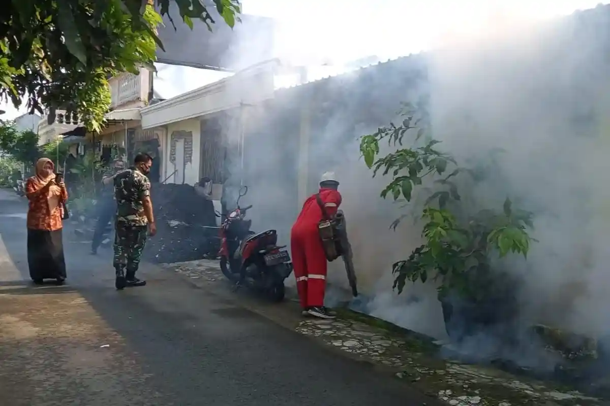 Waspada DBD saat Musim Hujan, Dinkes Kota Blitar Temukan 9 Kasus pada Januari-Februari 2023