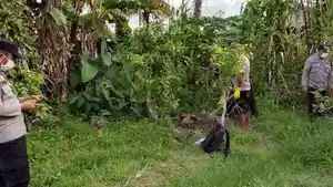 Terlihat-gundukan-tempat-mayat-dikubur-di-lahan-kosong-wilayah-Banjar-Cabe.jpg