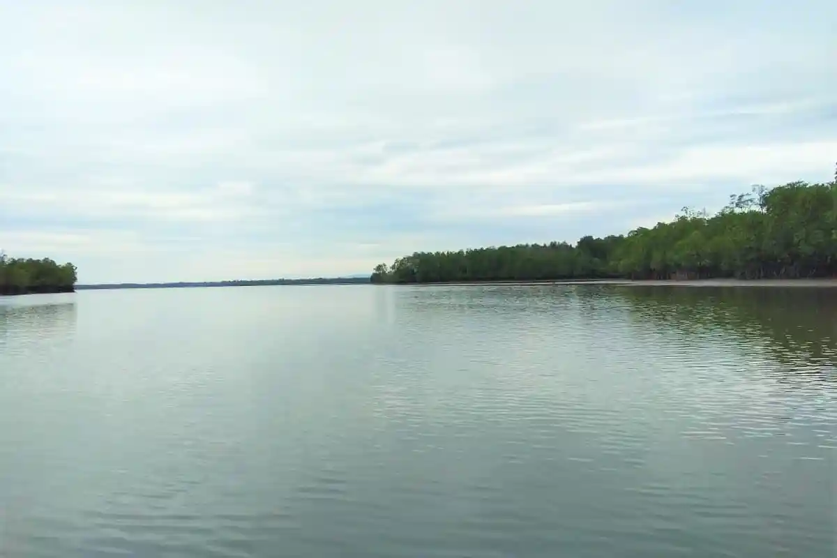10 Tempat Wisata Menarik Bak Syurganya Kalimantan di Kukar dan IKN, Pas Buat Tutup Akir Pekan!