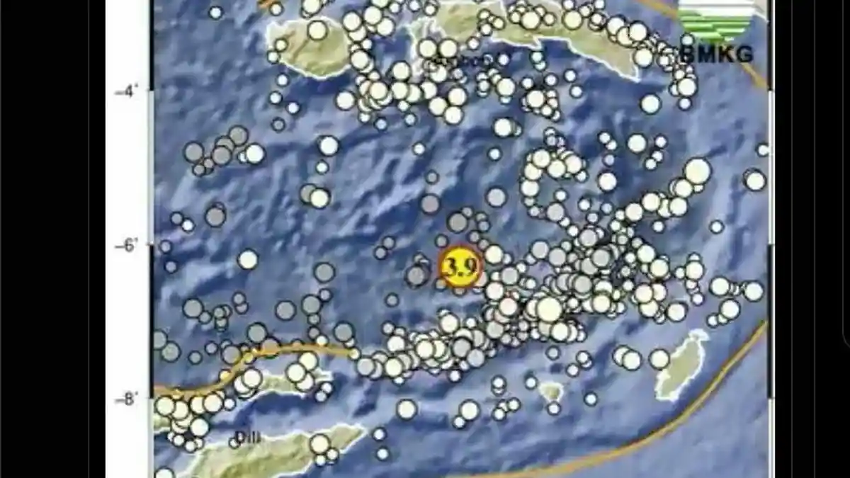 Info BMKG: Terjadi Gempa Bumi di Maluku Barat Daya, Jumat 5 Juni 2026
