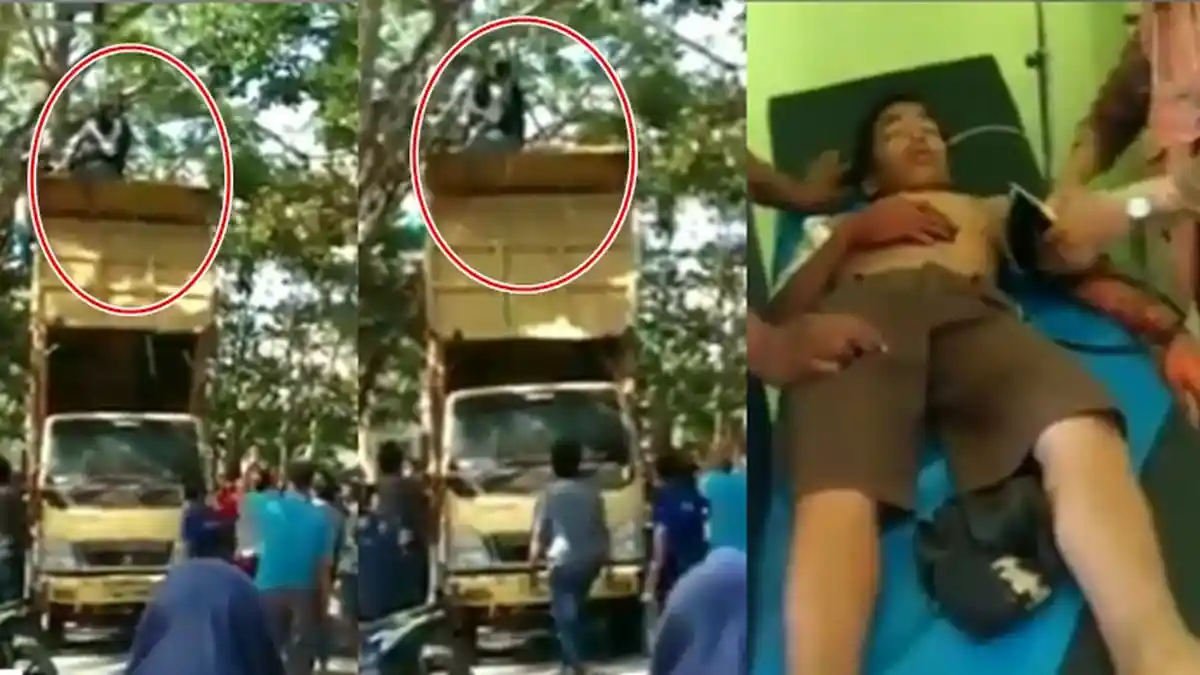 Dikira Mau Bunuh Diri, Ternyata Remaja Pria Nekat Panjat Pohon Setinggi 7 Meter Cuma Mau Lihat Ini