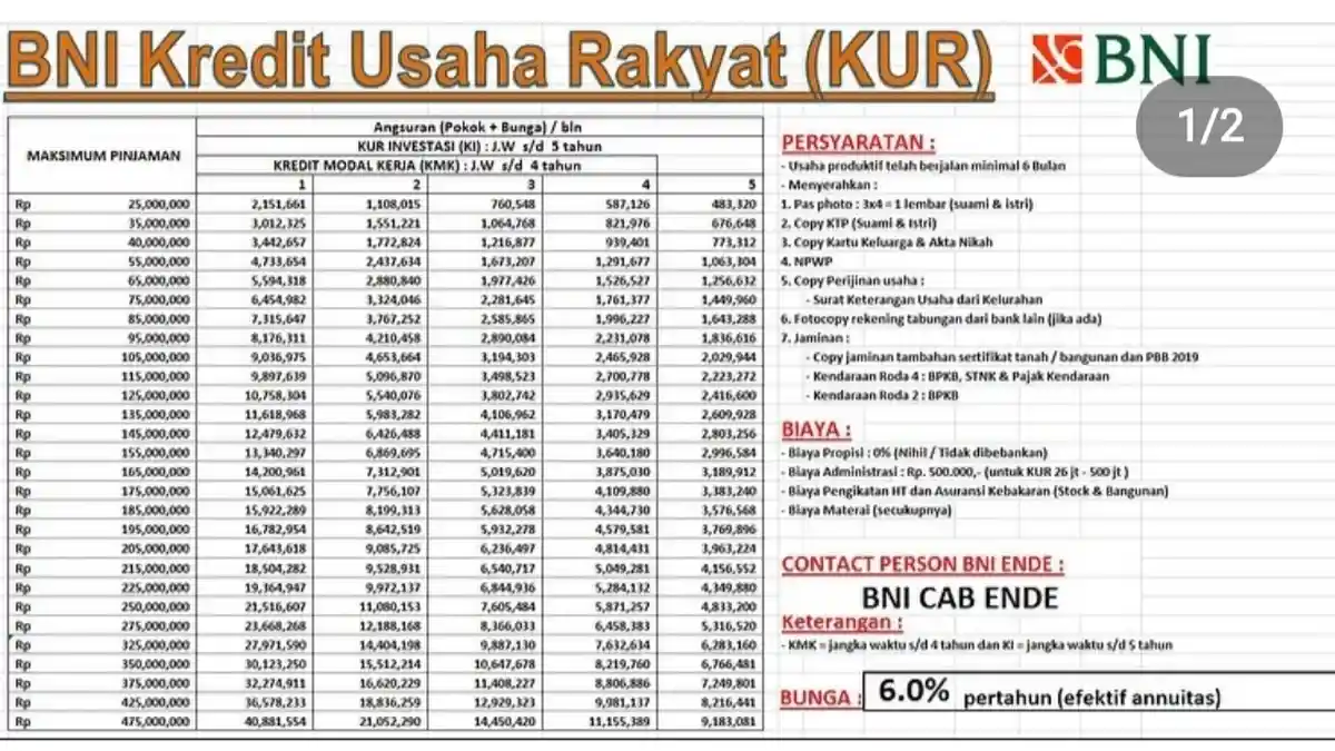 Tabel Cicilan KUR BNI 2025, dari Rp 25 Juta- Rp 500 Juta, Bunga Rendah ...