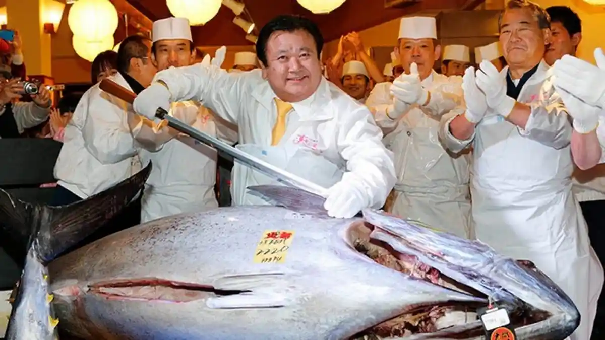 Perbedaan Ikan Tongkol, Ikan Cakalang dan Ikan Tuna