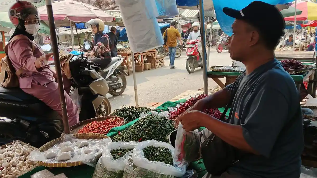 Harga Daging Ayam di Pasar Induk Metro Merosot Tajam, Buntut Libur Operasional Program MBG - Tribunlampung.co.id