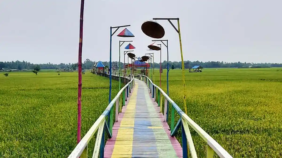 DERETAN Tempat Wisata di Sumut yang Tawarkan Pemandangan Hamparan Sawah Hijau Khas Pedesaan
