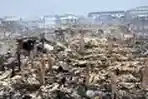 Kebakaran Kapuk Muara