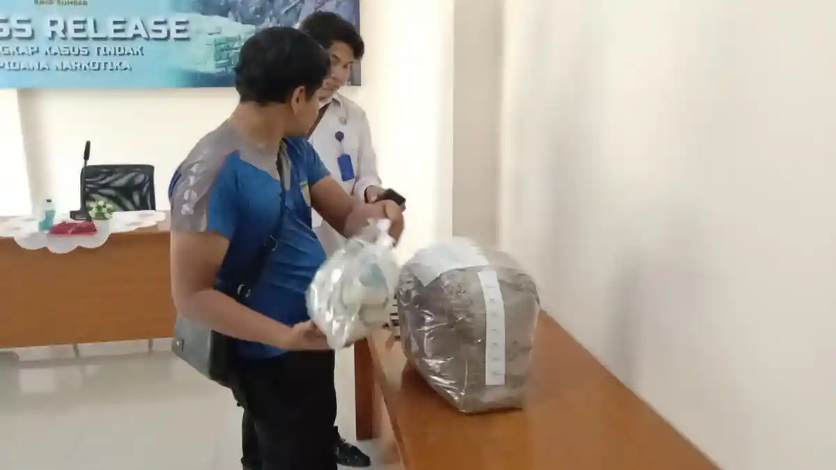 BNNP Sumbar Tangkap 2 Pemuda di Bypass padang, Petugas Sita 11 Paket Ganja Kering