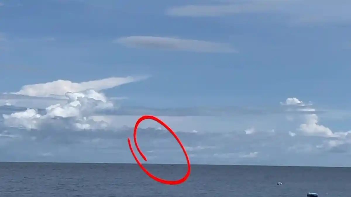 Viral Munculnya Paus Orca di Wisata Hiu Paus Gorontalo, Ini Penjelasan Kelompok Sadar Wisata